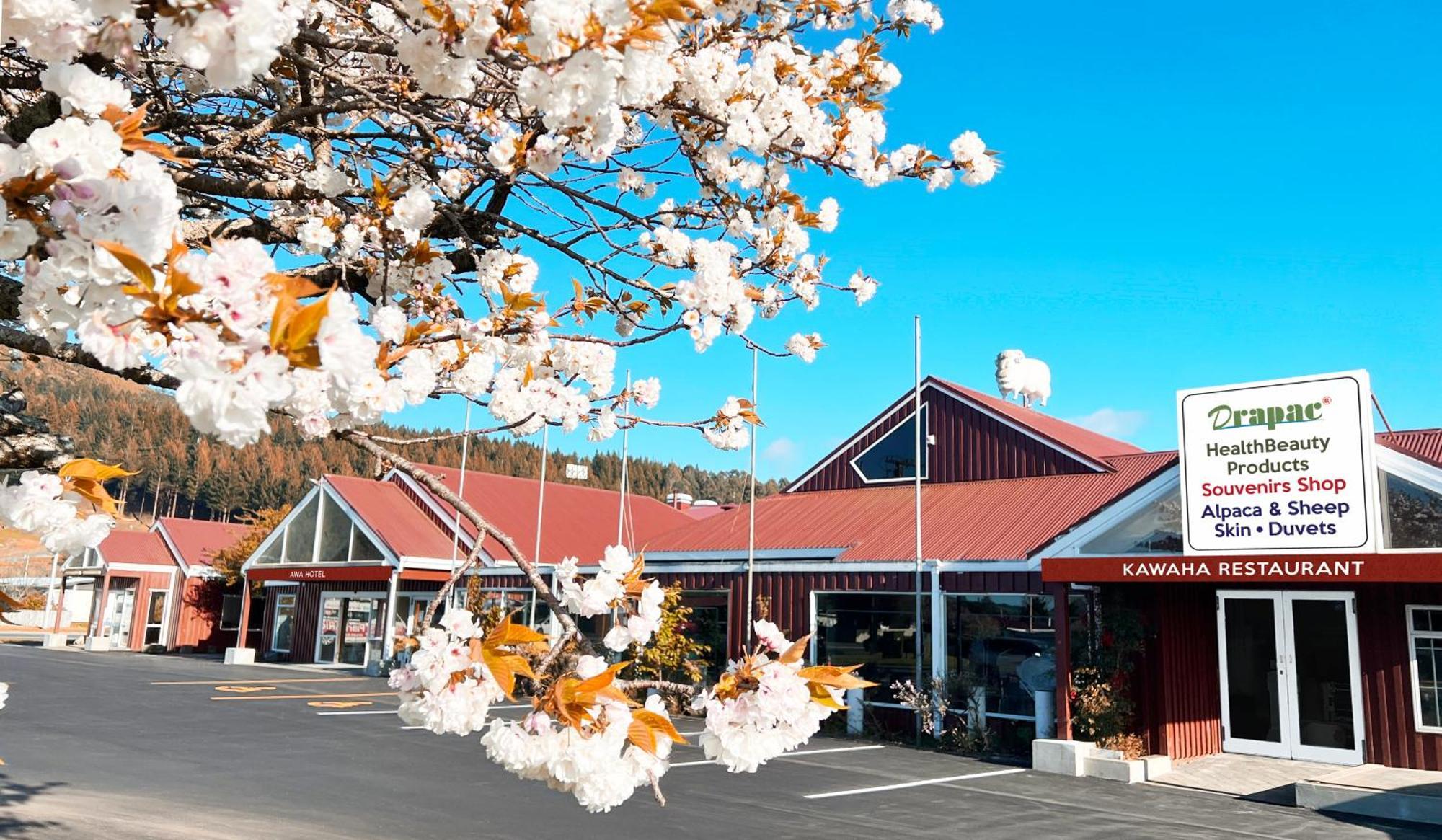 Awa Hotel Rotorua Luaran gambar